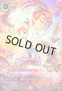 ディズニーロルカナ通販専門店【竜のしっぽ】