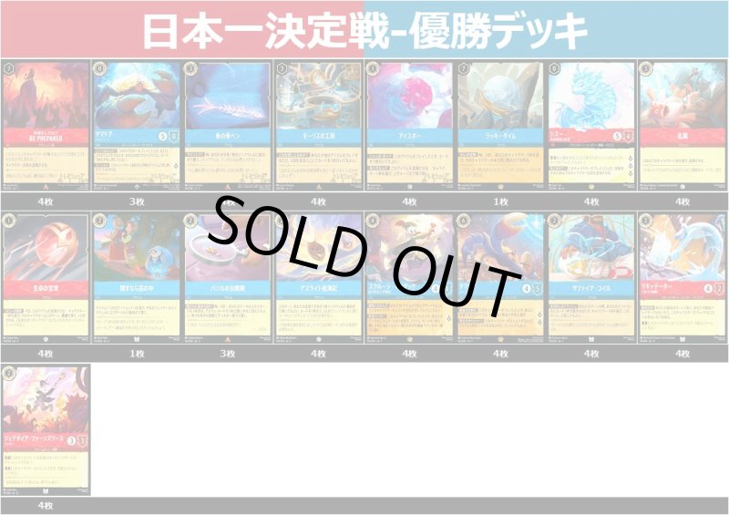 画像1: ルビーサファイア 日本一決定戦-優勝 (1)
