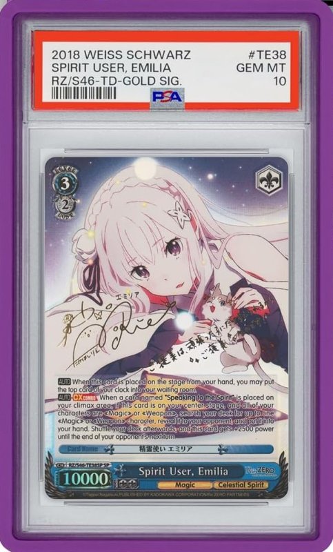 画像1: GradedGuard【Purple】 (1)